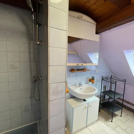 Apartament La Maisonnette A Colombages - 20 Min Europapark - Centre Alsace *